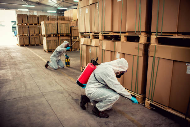 Best Wildlife Control Services  in South Monrovia Island, CA