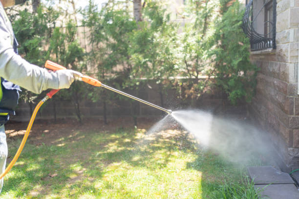 Best Pest Control Near Me  in South Monrovia Island, CA