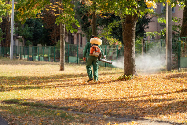 Best Rat Extermination Near Me  in South Monrovia Island, CA