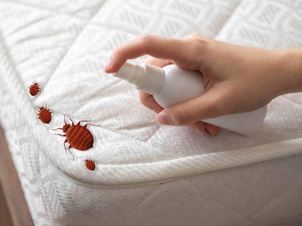 Best Pest Removal Services  in South Monrovia Island, CA