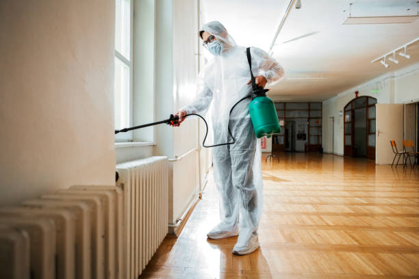 Wasp Removal Services in South Monrovia Island, CA